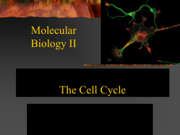 The Eukaryotic Cell Cycle