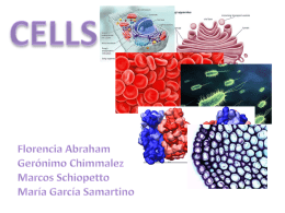 cells - Y11-Biology-SG