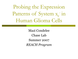 Probing the Expression Patterns of System xc