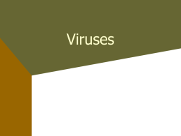 Viruses - Images