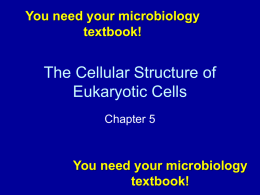 The Cellular Structure of Eukaryotic Cells