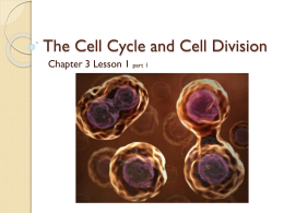 The Cell Cycle and Cell Division