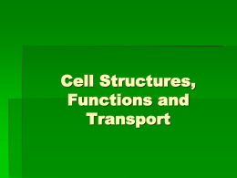 Chapters 4 and 5 Cell Structures, Functions and Transport