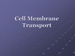 Membrane Transport notes