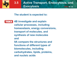 3.5 Active Transport, Endocytosis, and Exocytosis TEKS 4B, 9A A