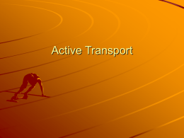 Active Transport PowerPoint