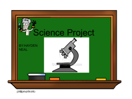 Hayden science project