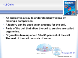 1.2 Cells