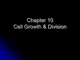 Cell Growth & Division Notes