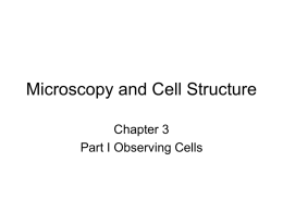 Microscopy and Cell Structure