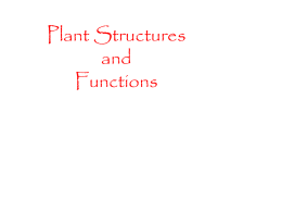 Plant Structures and Functions