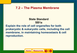 Plasma Membrane Notes (7.2)