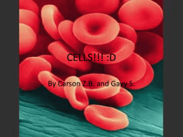 cells!!! :d
