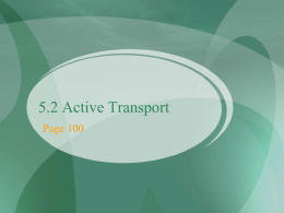 Differentiate between active and passive transport
