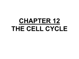 Unit 6 Cellular Reproduction Chp 12 Cell Cycle PPT