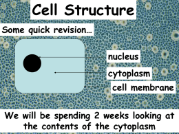 cell_structure_overview_and_intro