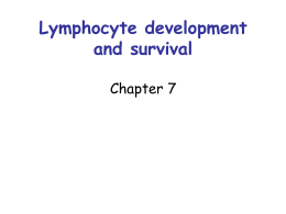 Antigen recognition by T lymphocytes Chapter 3