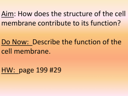 Aim: How does the structure of the cell membrane contribute to its