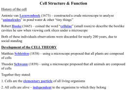 cell structure 1