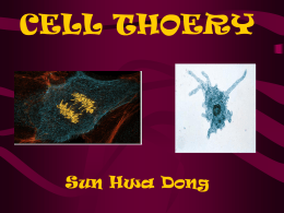 CELL THOERY Sun Hwa Dong