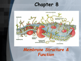 Membrane structure, I