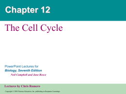 12. Cell Cycle, Mitosis