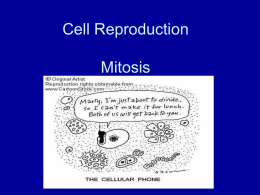 CellReproduction