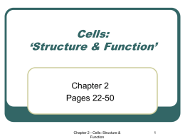 Cells: `Structure & Function`