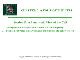 Fig. 7.18 CHAPTER 7 A TOUR OF THE CELL