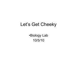 Cheek Cells Lab - Rimac-Science-Web
