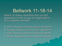 Bellwork 11-18-14