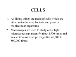 Cytoplasm is where all the chemical reactions take