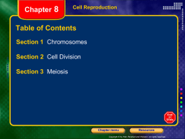Chapter 8: Cellular Reproduction
