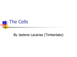 The Cells - LAPhysics.com