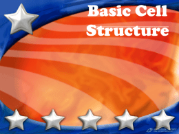 Basic Cell Structure