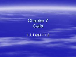 Chapter 7 Cells