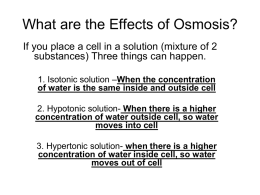 What are the Effects of Osmosis?