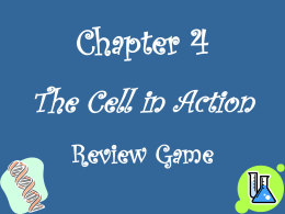 Ch 4 Review Game