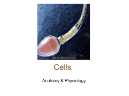 Chapter_3_Cells[1]