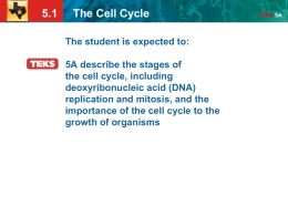 5.1 The Cell Cycle TEKS 5A