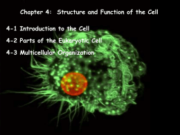 Chapter 4-Structure and function of Cell