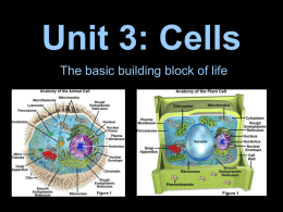 Unit III: Cells