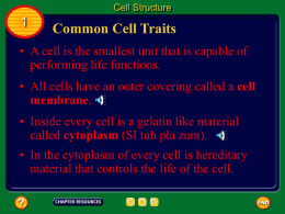 of the cell or - rebekahhammett