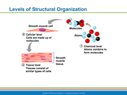 Chapter 3- Part 1 Cells PPT