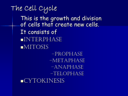 The Cell Cycle - Cobb Learning