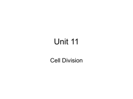 Unit 11 Cell Division