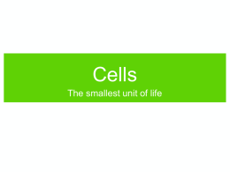 Ch5-Cells-New