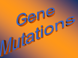 Lecture Chpt. 17 Mutations
