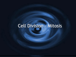 Cell division - mitosis power point