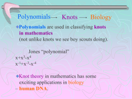 A surprising application of polynomials in daily life